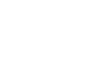 Evolution games at Royal Spin World Casino